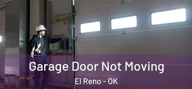  Garage Door Not Moving El Reno - OK