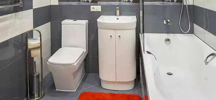 Hansgrohe Shaving Mirror El Reno